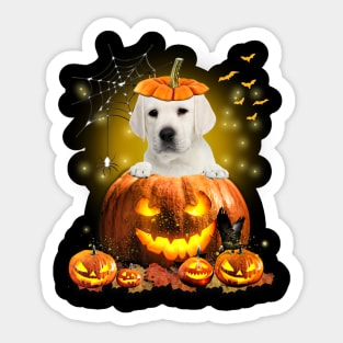 White Labrador Spooky Halloween Pumpkin Dog Head Sticker